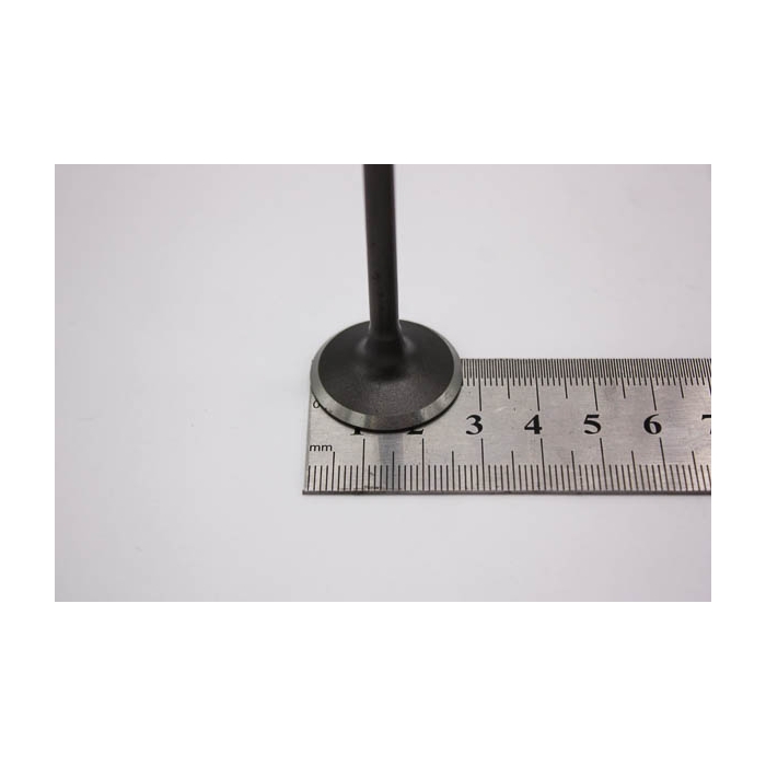 INDUCTION VALVE