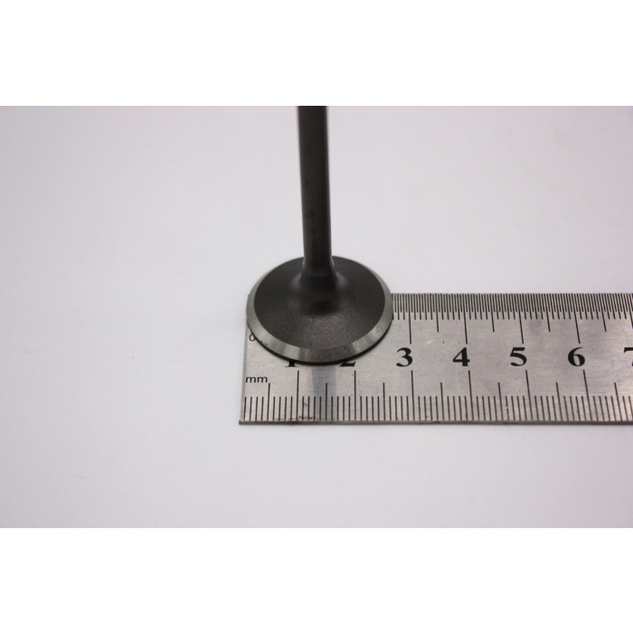 INDUCTION VALVE