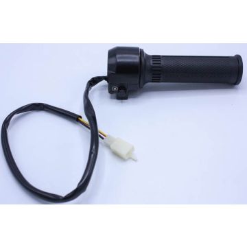 Right Handle Switch Assy