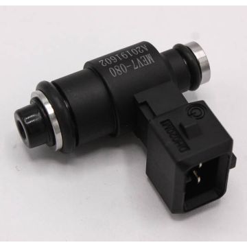 Fuel Injector (80g)