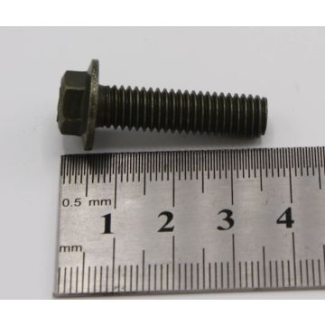 Flange bolt