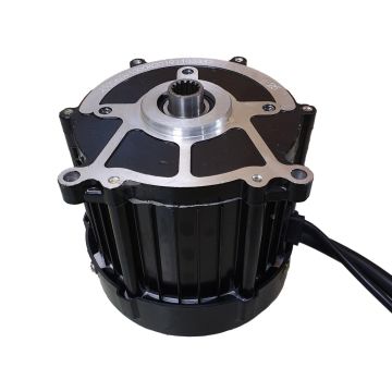 Motor 1000W