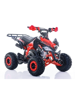 Viarelli Agrezza 110cc V2