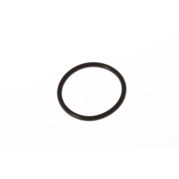 O-Ring 20.6 x 1,9  - 10st i en förpackning (LPI)