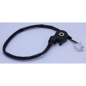 side stand ignition switch