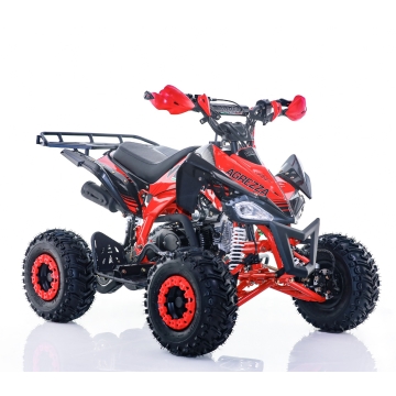 Viarelli Agrezza 110cc V2